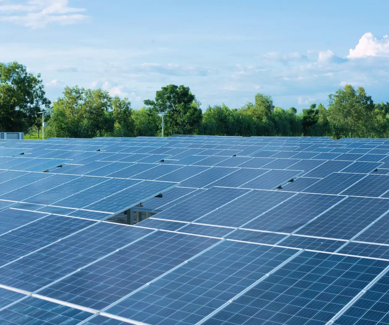 Azienda certificata sostenibilità