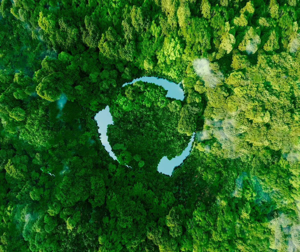 Gruppo solidale per ecosostenibilità Bergamo